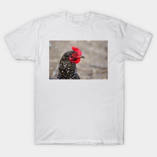 42018 hen T-Shirt